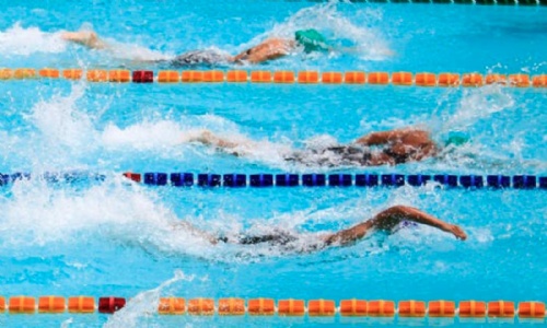 lane swimming in a swimming pool