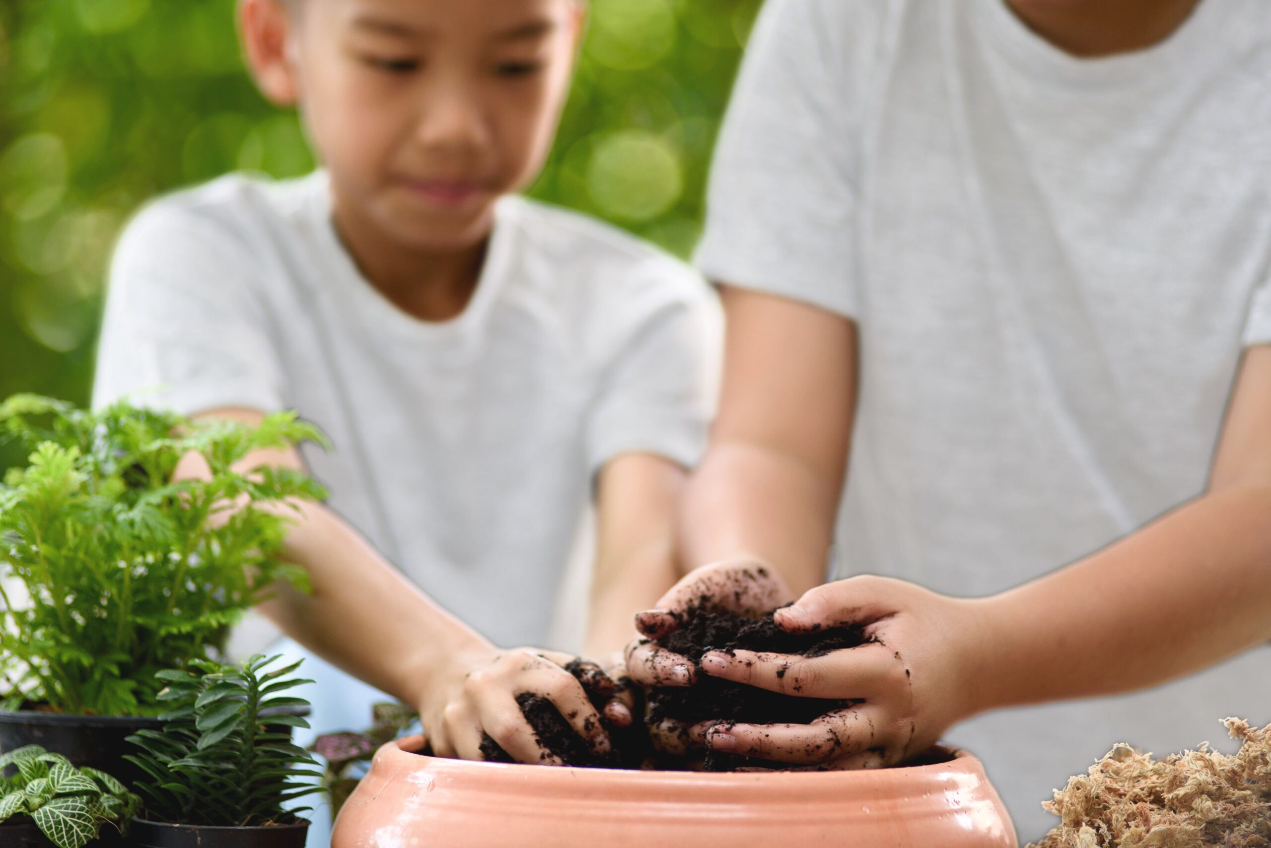 Children at a school gardening club