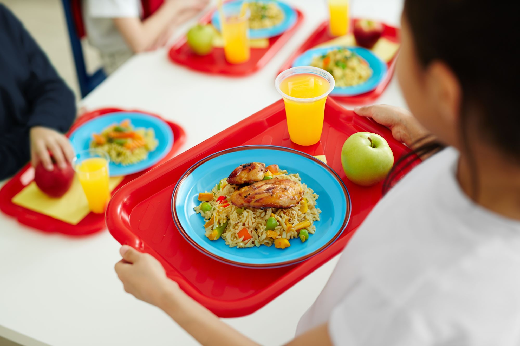 Children eating a healthy school dinner