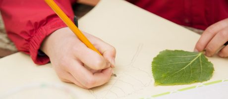 closeup of student drawing a leaf